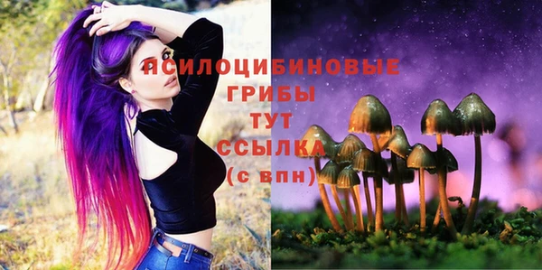 синтетический гашиш Красноперекопск