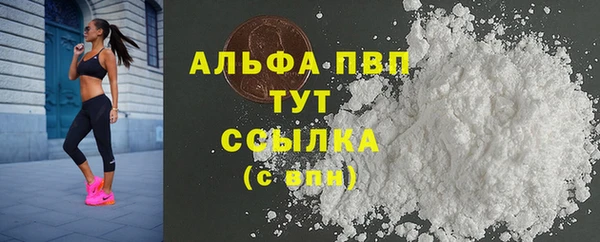 гашик Краснослободск