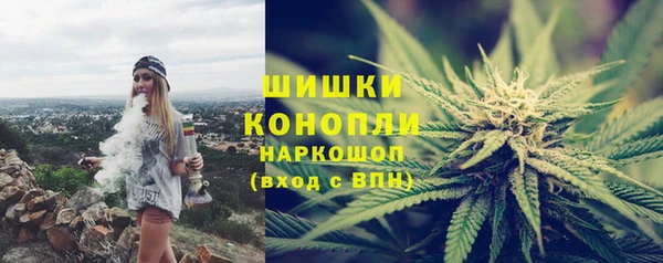 хмурый Ладушкин