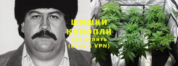 спайс Кулебаки