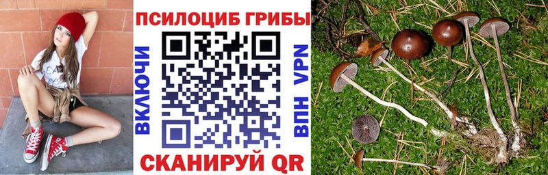 Галлюциногенные грибы Psilocybine cubensis  Лесосибирск 