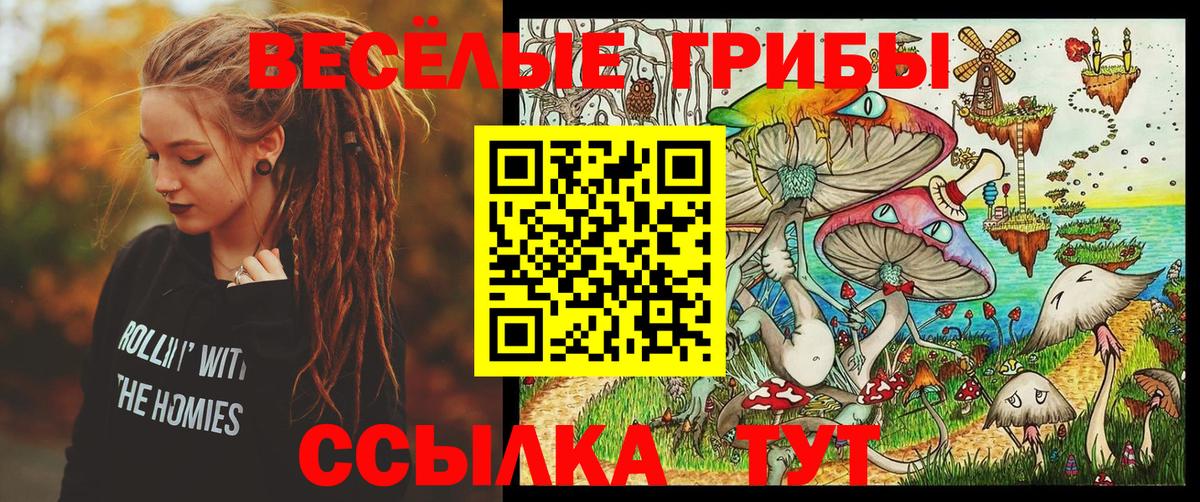 Галлюциногенные грибы Psilocybe  продажа наркотиков  Лесосибирск  Вход с VPN 