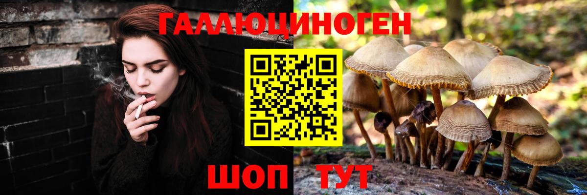 Псилоцибиновые грибы MAGIC MUSHROOMS Лесосибирск