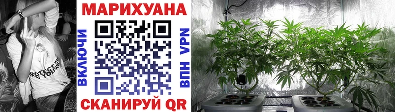 omg tor  что такое   Лесосибирск  Бошки марихуана семена 